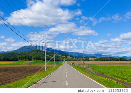 Blue sky and one road Blue sky and one road 131353853