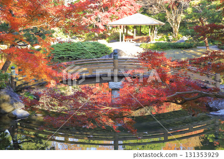栃木縣立中央公園的紅葉 131353929