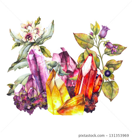 Watercolor illustration of vibrant crystals amethyst ruby citrine surrounded by poisonous plants henbane and belladonna. for esoteric branding packaging tarot textiles and metaphysical design. Watercolor illustration of vibrant crystals amethyst ruby citrine surrounded by poisonous plants henbane and belladonna. for esoteric branding packaging tarot textiles and metaphysical design. 131353969