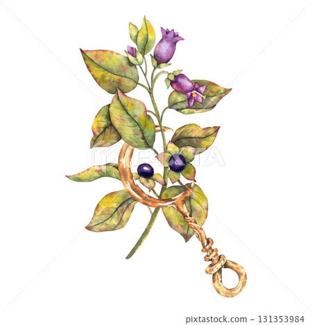 Watercolor illustration deadly nightshade Atropa belladonna with purple berries and flowers combined with rusty crescent moon sickle. Esoteric botanical motif for packaging tattoos, mystic branding. 131353984