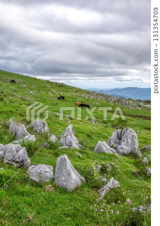 Kumakogen, Ehime Prefecture - Shikoku Karst on a cloudy day 131354709