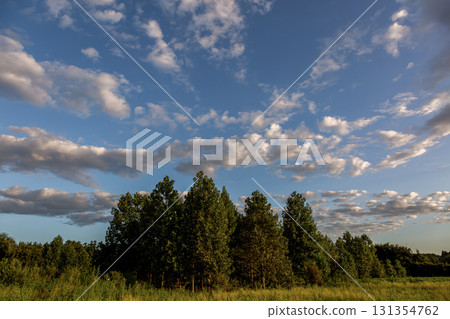 Trees and clouds bathed in the slanting sunlight of early autumn [Image of the beginning of autumn] 131354762