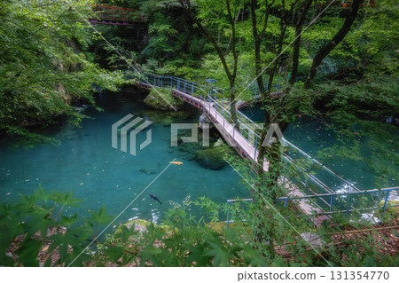 Fresh greenery at Lake Hakuryu in Tsuno Town, Kochi Prefecture Fresh greenery at Lake Hakuryu in Tsuno Town, Kochi Prefecture 131354770