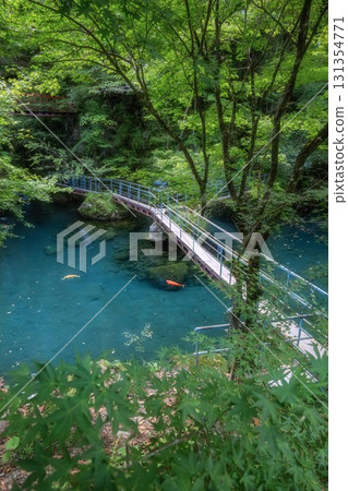高知縣津野町白龍湖的新綠 高知縣津野町白龍湖的新綠 131354771