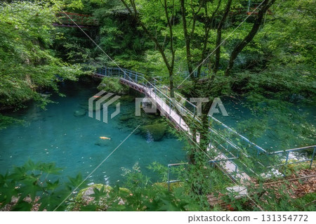 Fresh greenery at Lake Hakuryu in Tsuno Town, Kochi Prefecture Fresh greenery at Lake Hakuryu in Tsuno Town, Kochi Prefecture 131354772