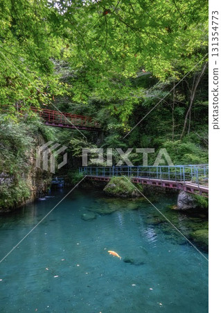 Fresh greenery at Lake Hakuryu in Tsuno Town, Kochi Prefecture Fresh greenery at Lake Hakuryu in Tsuno Town, Kochi Prefecture 131354773
