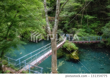 高知縣津野町白龍湖的新綠 131354775