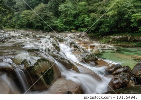 Fresh greenery at Omogokei Gorge in Kumakogen Town, Ehime Prefecture 131354945