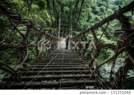 Miyoshi City, Tokushima Prefecture: Iya Kazura Bridge in the fresh greenery Miyoshi City, Tokushima Prefecture: Iya Kazura Bridge in the fresh greenery 131355048
