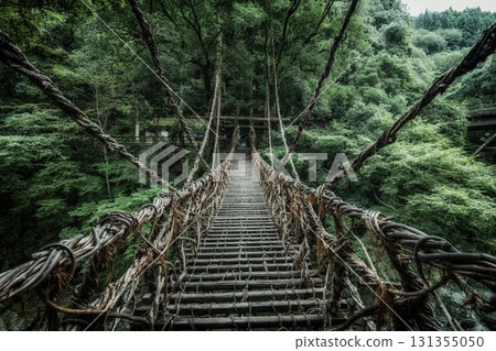 Miyoshi City, Tokushima Prefecture: Iya Kazura Bridge in the fresh greenery Miyoshi City, Tokushima Prefecture: Iya Kazura Bridge in the fresh greenery 131355050