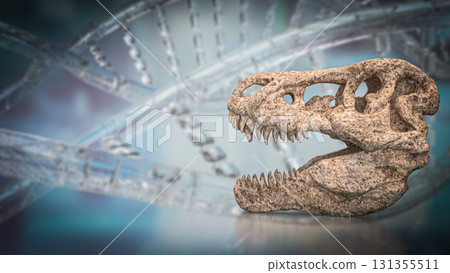 The T rex Skull for Education Or sci concept 3d Rendering. 131355511