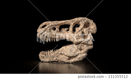 The T rex Skull for Education Or sci concept 3d Rendering. 131355512