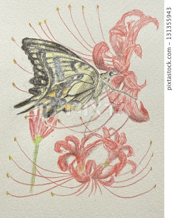 Sword and swallowtail butterfly Sword and swallowtail butterfly 131355943