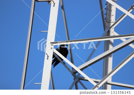 A crow perched on a steel tower A crow perched on a steel tower 131356145