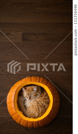 A fluffy ginger cat sleeps soundly curled inside a vibrant orange hollowed pumpkin, resting on a dark wood floor, captured from a direct overhead perspective. 131356496
