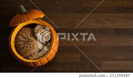 A fluffy ginger cat is peacefully sleeping curled up inside a hollowed-out orange pumpkin, viewed from a top-down perspective on dark wooden floorboards with copy space. 131356497