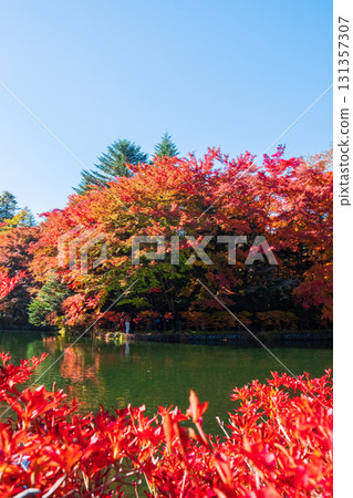 輕井澤、雲場池（秋季） 131357307