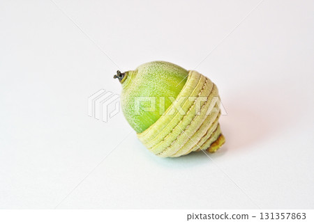 櫟屬橡子（秋季，九月） 131357863