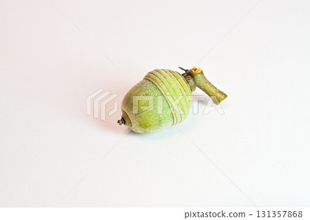 櫟屬橡子（秋季，九月） 131357868