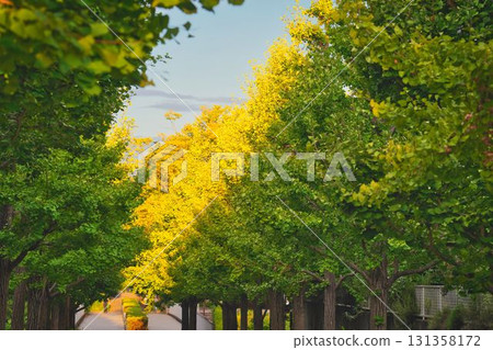 多摩新城的銀調橋 131358172