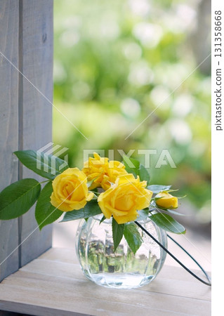 Yellow Rose 131358668