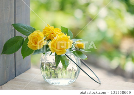 Yellow Rose Yellow 131358669