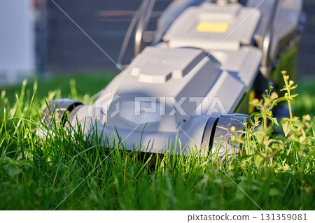 Electric lawn mower cutting green grass in backyard Electric lawn mower cutting green grass in backyard 131359081