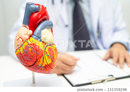 Cardiovascular disease CVD, Asian doctor holding human anatomy model for learn and treat heart disease. 131359296