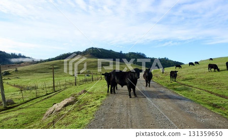 Overseas ranch 131359650