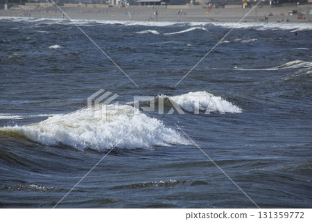 Shonan Sea Shonan Sea 131359772