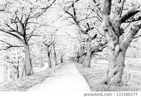 漫畫風格鋼筆畫插圖：Riverbed 131360177