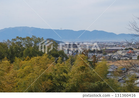View from the hilltop within the grounds of Omiwa Shrine 131360416