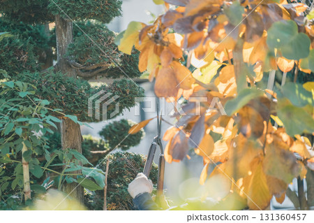 園丁 男人 男 131360457