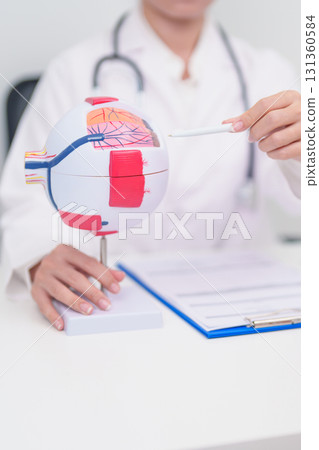 Elderly Patient consulting Doctor to Eye disease, Senior Medical Diagnosis. Anatomy Eye model for Cataract, Glaucoma, Age Related Macular Degeneration, Diabetic Retinopathy, Vitreous, health concept 131360584