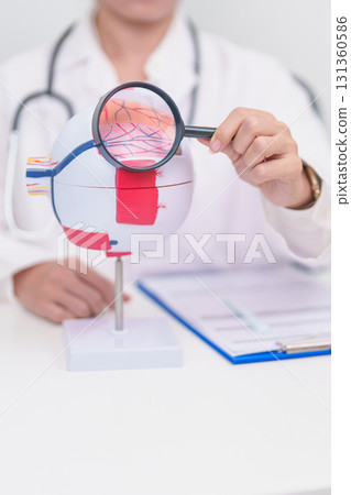 Elderly Patient consulting Doctor to Eye disease, Senior Medical Diagnosis. Anatomy Eye model for Cataract, Glaucoma, Age Related Macular Degeneration, Diabetic Retinopathy, Vitreous, health concept 131360586