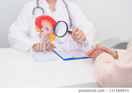 Elderly Patient consulting Doctor to Brain disease, Senior Health Medical Diagnosis. Anatomy Brain model for Explanation, Brain Tumor, neurological disorders, Dementia, alzheimer, parkinson and Mental Elderly Patient consulting Doctor to Brain disease, Senior Health Medical Diagnosis. Anatomy Brain model for Explanation, Brain Tumor, neurological disorders, Dementia, alzheimer, parkinson and Mental 131360643