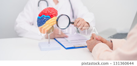 Elderly Patient consulting Doctor to Brain disease, Senior Health Medical Diagnosis. Anatomy Brain model for Explanation, Brain Tumor, neurological disorders, Dementia, alzheimer, parkinson and Mental Elderly Patient consulting Doctor to Brain disease, Senior Health Medical Diagnosis. Anatomy Brain model for Explanation, Brain Tumor, neurological disorders, Dementia, alzheimer, parkinson and Mental 131360644