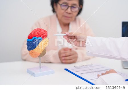 Elderly Patient consulting Doctor to Brain disease, Senior Health Medical Diagnosis. Anatomy Brain model for Explanation, Brain Tumor, neurological disorders, Dementia, alzheimer, parkinson and Mental 131360649