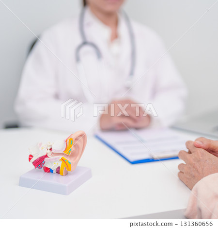 Elderly Patient consulting Doctor to Ear disease. Senior Health Medical Diagnosis. Anatomy Ear model for Atresia, Otitis Media, Pertorated Eardrum, Meniere syndrome, otolaryngologist, Hearing Loss 131360656