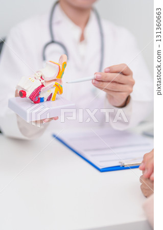 Elderly Patient consulting Doctor to Ear disease. Senior Health Medical Diagnosis. Anatomy Ear model for Atresia, Otitis Media, Pertorated Eardrum, Meniere syndrome, otolaryngologist, Hearing Loss Elderly Patient consulting Doctor to Ear disease. Senior Health Medical Diagnosis. Anatomy Ear model for Atresia, Otitis Media, Pertorated Eardrum, Meniere syndrome, otolaryngologist, Hearing Loss 131360663