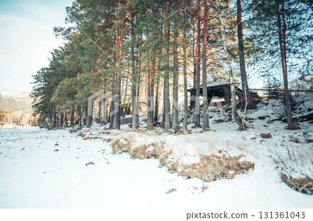 Snow-covered landscape with tall pine trees and a rustic cabin in the mountains. The scene evokes a sense of tranquility and mindfulness in nature. 131361043