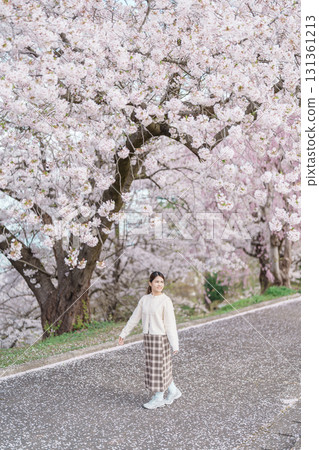 Woman tourist sightseeing Sakura Cherry Blossom in Spring, happy traveler travel in Tendo Park or Maizuru Park in Yamagata prefecture, Tohoku, Japan. famous Landmark for Travel and Vacation 131361213