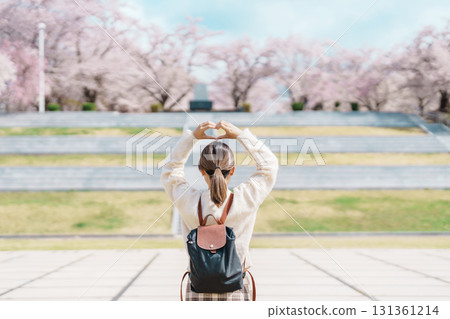 Woman tourist sightseeing Tendo Park or Maizuru Park with Sakura Cherry Blossom in Spring, happy traveler travel in Yamagata prefecture, Tohoku, Japan. famous Landmark for Travel and Vacation 131361214