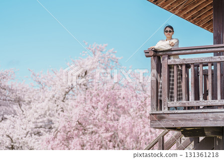 Woman tourist sightseeing Sakura Cherry Blossom in Spring, happy traveler travel in Tendo Park or Maizuru Park in Yamagata prefecture, Tohoku, Japan. famous Landmark for Travel and Vacation 131361218