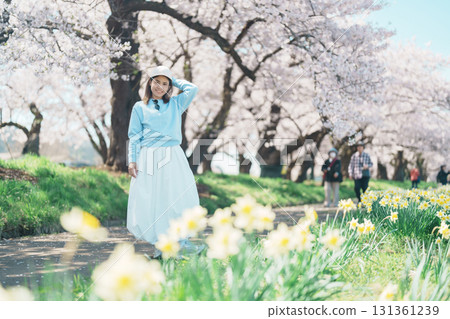 Woman tourist sightseeing Kitakami Tenshochi Park with Sakura Cherry Blossom in Spring, traveler travel in Kitakami festival, Iwate prefecture, Japan. Landmark for Travel and Vacation destination 131361239