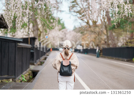Woman tourist sightseeing Sakura Cherry Blossom in Spring. Happy traveler travel in Samurai village or Little Kyoto in Kakunodate town, Semboku District, Akita Prefecture, Japan. Landmark and Vacation 131361250