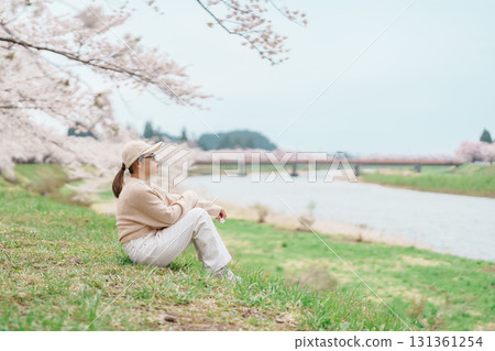 Woman tourist sightseeing Sakura Cherry Blossom in Spring. Happy traveler travel near Hinokinai River riverbank in Kakunodate town, Semboku District, Akita Prefecture, Japan. Landmark and Vacation 131361254