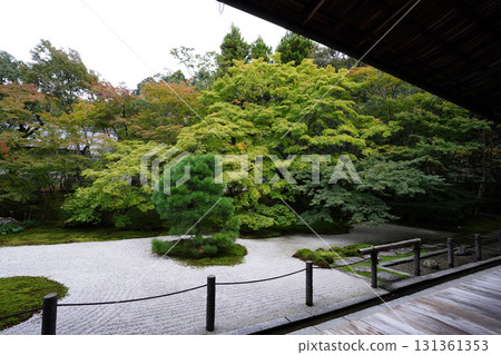 感受秋天氣息的京都寺廟庭園 感受秋天氣息的京都寺廟庭園 131361353