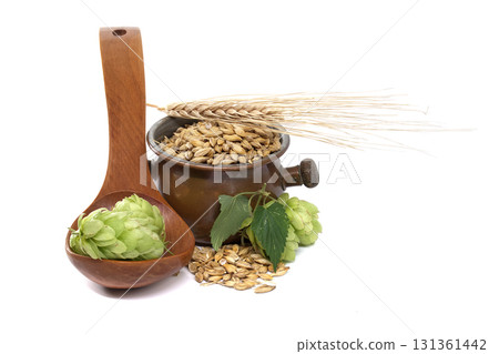 Beer ingredients composition on white background Beer ingredients composition on white background 131361442