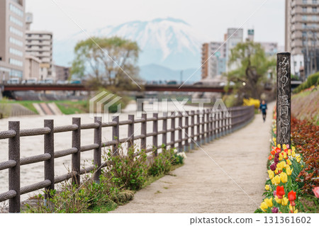 Beautiful Iwate mountain and Kitakami river with flowers blooming in Spring season, cityscape against blue sky in Morioka city, Iwate prefecture, Japan. famous Landmark Travel and Vacation destination Beautiful Iwate mountain and Kitakami river with flowers blooming in Spring season, cityscape against blue sky in Morioka city, Iwate prefecture, Japan. famous Landmark Travel and Vacation destination 131361602